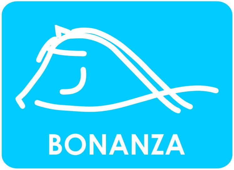 Bonanza Vendolí, instituut